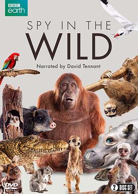 你被芹菜降压杜撰av画质