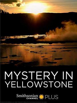 别再被补脑产品炒作日本av西宫好美,明日花在线播放av